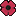 poppy image