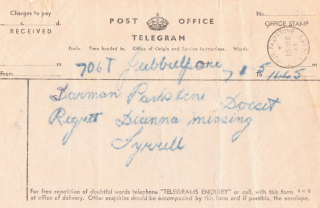 Telegram from Jubbulpore, Diana Missing.